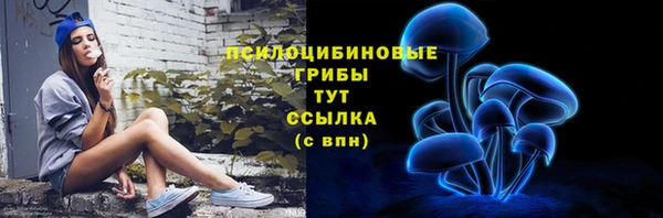 ECSTASY Кулебаки