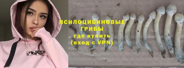 винт Краснослободск