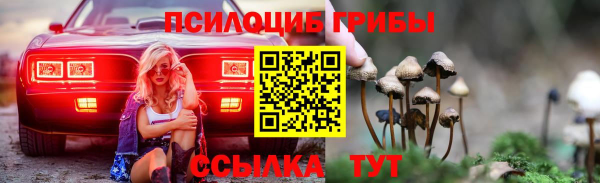 Галлюциногенные грибы ЛСД Мелеуз